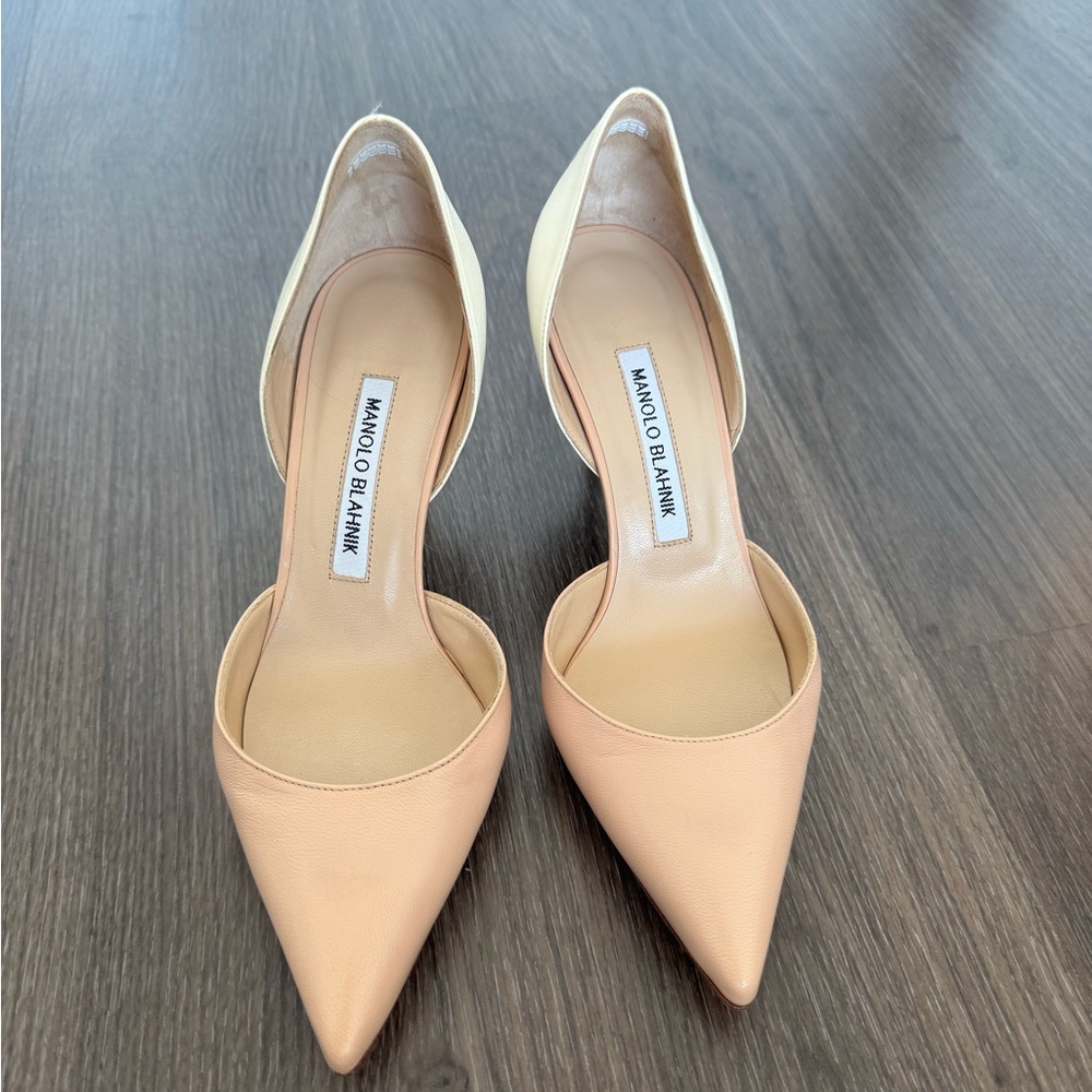 Manolo Blahnik Nude Pointed-Toe Heels